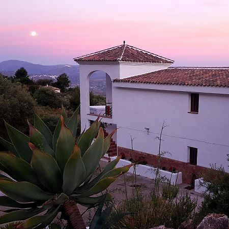 Casa Arts Guest Rooms Alcaucín Exterior foto